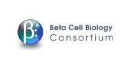 Beta Cell Biology Consortium